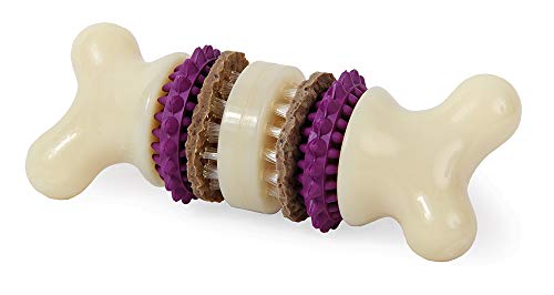 PetSafe - Anillos de Golosina para Perros Busy Buddy, Anillos de Repuesto para masticar, Golosinas para Juguetes de Perros, Sabor a Cuero Crudo Higiene Dental Perros - Talla A