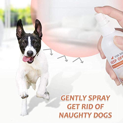 Petsvv Spray para Perros,Resistente a la masticación, Protege los Muebles, Spray para Perros Amargo y no tóxico,175ml