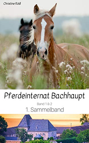 Pferdeinternat Bachhaupt: Sammelband 1 (Pferdeinternat Bachhaupt Sammelbände) (German Edition)
