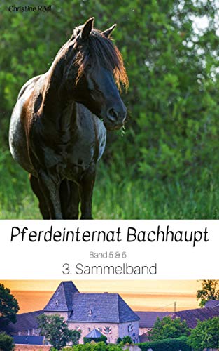 Pferdeinternat Bachhaupt: Sammelband 3 (Pferdeinternat Bachhaupt Sammelbände) (German Edition)