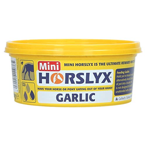 PFIFF Horslyx Garlic - Masilla (5 kg)