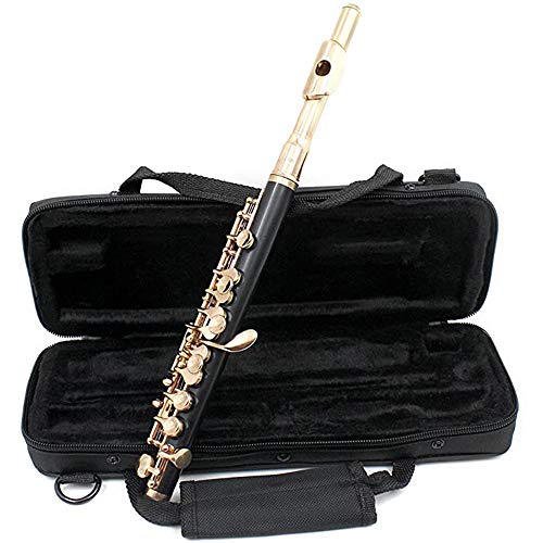 Piccolo clave chapado en oro de 16 hoyos C Plus E French Key Botón italiano de juntas de alto grado de tela caja de paño de limpieza de Rod Swab y guantes para la ejecución del ensayo Nivel