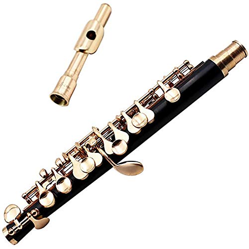 Piccolo clave chapado en oro de 16 hoyos C Plus E French Key Botón italiano de juntas de alto grado de tela caja de paño de limpieza de Rod Swab y guantes para la ejecución del ensayo Nivel