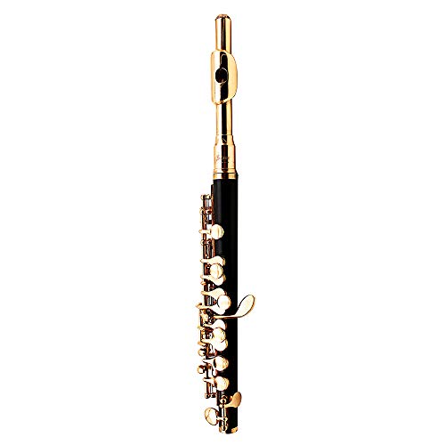 Piccolo clave chapado en oro de 16 hoyos C Plus E French Key Botón italiano de juntas de alto grado de tela caja de paño de limpieza de Rod Swab y guantes para la ejecución del ensayo Nivel