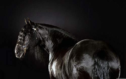 Pintura de diamante 5D animales negros caballos caballo frisón carrera de caballos bordado de diamantes de imitación de cristal DIY para decoración pegatinas de pared 40 * 50Cm