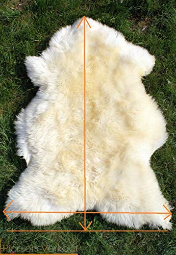 Pioniers Verkauf Natur-Fell-Shop - Alfombra de piel de oveja (110-119 cm), color blanco y champán