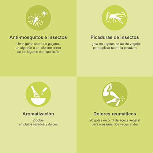PLASTIMEA - Aceite Esencial Puro 100% Natural y Bio, Repelente Natural Insectos Anti mosquitos, Fabricado en Francia Natural Insectos, Aroma Citronela de Java, 30 ml