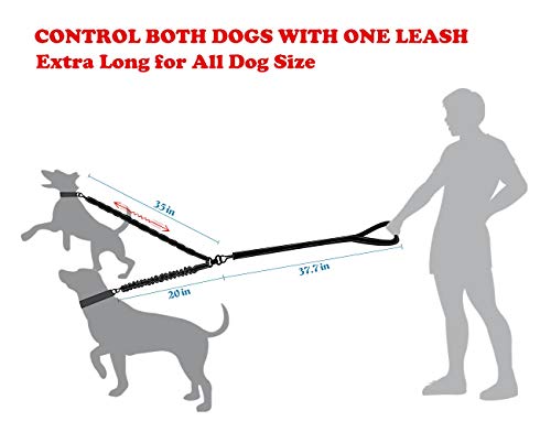 Plomo Doble para Perros,Correa para Perro Doble Reflexivo Bungee Absorbe Impactos 360°Sin enredo para Dos Perros para Caminar/Entrenamiento con Extra adiestrador de Perros
