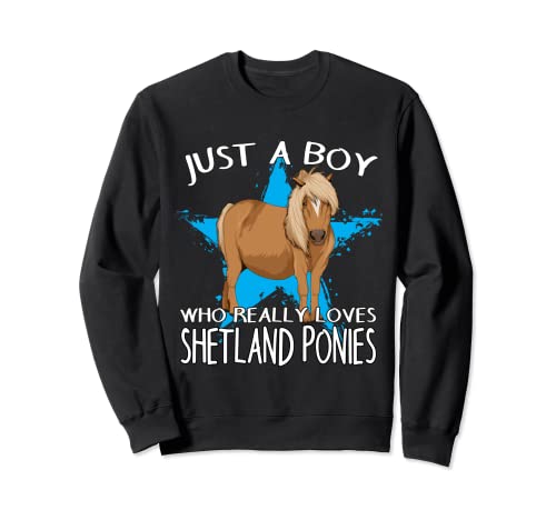 Poni De Shetland Shetty Un Chico Que Ama Ponis De Shetland Sudadera