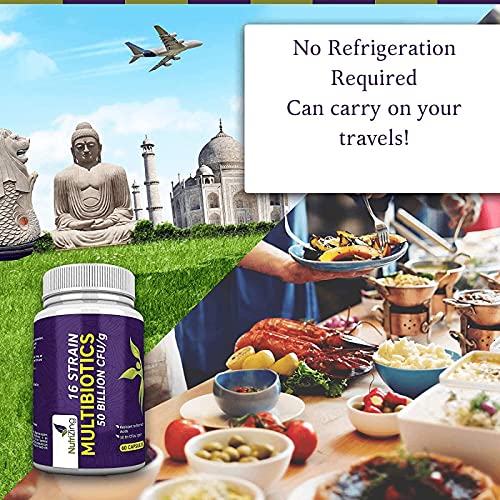 Probiótico Fórmula de Amplio Espectro - 16 Cepas - Lactobacilos y Bífidobacterias y Streptococcus - 60 Cápsulas de Liberación Prolongada- 100% Vegano Probioticos por NutriZing