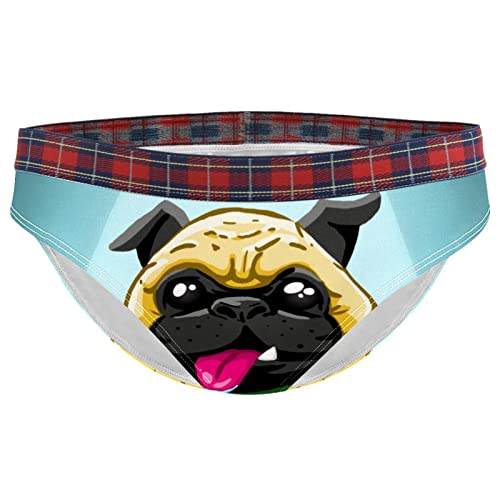 Pugs Dog Png Bragas Bikini Bragas Stretch Ropa interior Hipster Calzoncillos Suave Transpirable, Multicolor, L