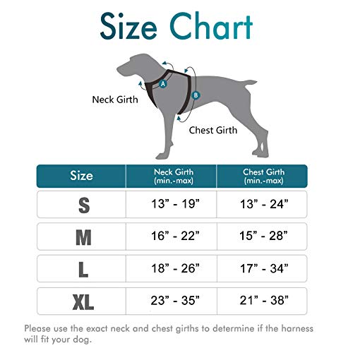rabbitgoo Arnes Perros Grande Mediano Pequeño Arnés Pecho Antitirones Perros Coche con Lineas Reflectantes Cómodo Transpirable Chaleco Acolchado Ajustable para Adiesreamiento Tamaño M Verde Oscuro
