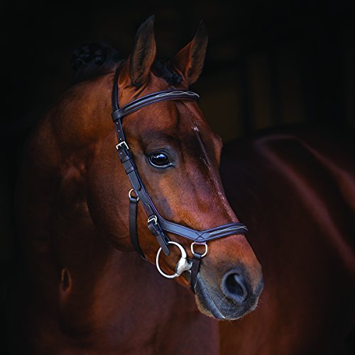 Rambo Horseware Ireland Micklem Deluxe Competition English Leather Bridle SBAB6F, Ecuestre, Dark Havana, Small Horse