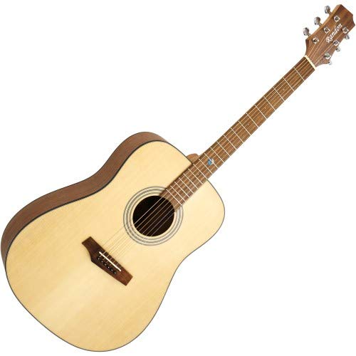 Randon RGI-01 - Guitarra sajona