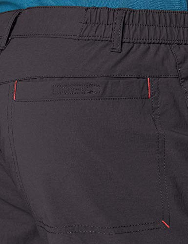Regatta Highton - Pantalones Cortos de Senderismo para Hombre, Repelente al Agua, protección UV, Hombre, Pantalones Cortos, RMJ224, Gris, 44"/112 cm