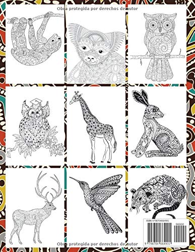 Reino animal - Libro de colorear - Armadillo, Glotón, Mapache, Guepardo y más