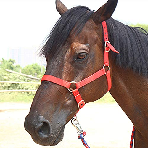 RSHJD Horse Halter, LXZJY Cabestros de Hípica Equipo de EquitacióN Headcollar para Equitación Espectáculo Doma Clásica, El Tamaño Cabe Pony COB Vollblutblack-S