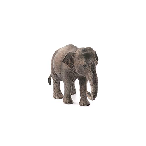 Schleich-14753 Figura de Elefante asiático Hembra, Colección Wild Life, Color marrón, 13 cm (14753)