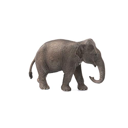 Schleich-14753 Figura de Elefante asiático Hembra, Colección Wild Life, Color marrón, 13 cm (14753)