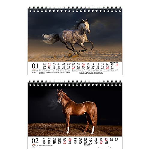 Seelenzauber K2022-5T-00017-D-0 Horse Magic Deluxe - Calendario de mesa (DIN A5, para 2022 caballos)