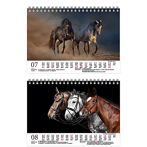 Seelenzauber K2022-5T-00017-D-0 Horse Magic Deluxe - Calendario de mesa (DIN A5, para 2022 caballos)