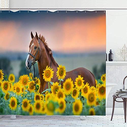 Shower Curtain Set With Hooks 72x72 Equestrian Horses Mare Thoroughbred Red Stallion Freedom Palomino Bridle Dawn Sunflowers Summer Bathroom Curtains Waterproof Polyester Fabric Bath Decor 65X72 Inch