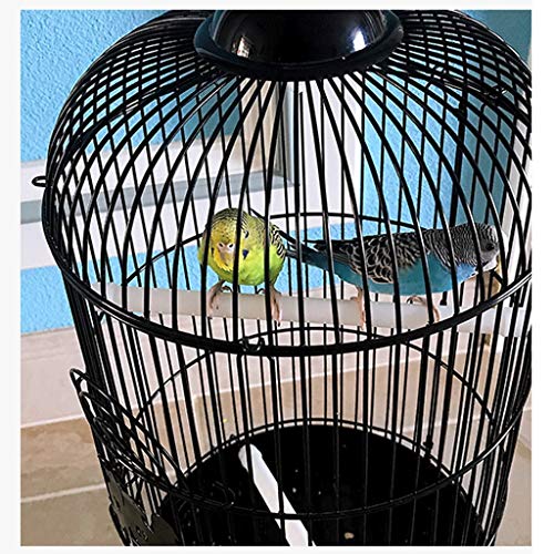 SIFDNRGNFN Jaula Pajaros Grande Jaula PáJaros con Parazo de Parazo de Stan Loro Grande 2 Caja de Cajador para Lovebards Finches Cockatiels Canarias Jaula Loro