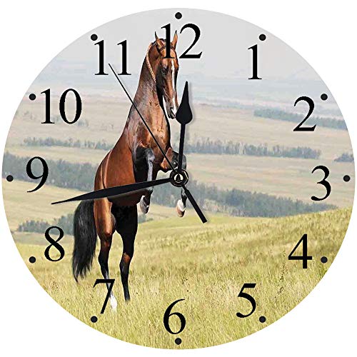 Silencioso Wall Clock Decoración de hogar de Reloj de Redondo,Caballos, Bahía Akhal Teke Caballo Semental Cría en el campo Noble Mamífero Al aire libre P,para Hogar, Sala de Estar, el Aula