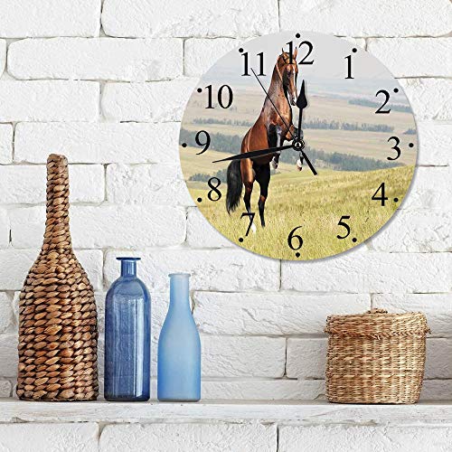 Silencioso Wall Clock Decoración de hogar de Reloj de Redondo,Caballos, Bahía Akhal Teke Caballo Semental Cría en el campo Noble Mamífero Al aire libre P,para Hogar, Sala de Estar, el Aula