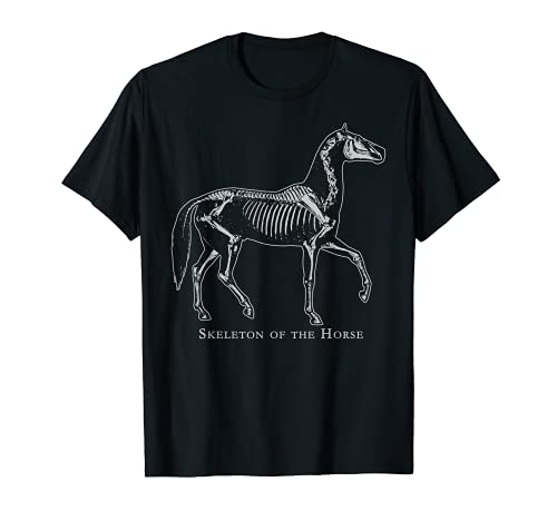 Sistema Esquelético De Caballo Estudio Equus Ferus Amante Equino Vintage Camiseta