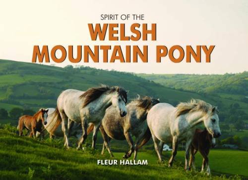 Spirit of the Welsh Mountain Pony (Spirit of Britain)