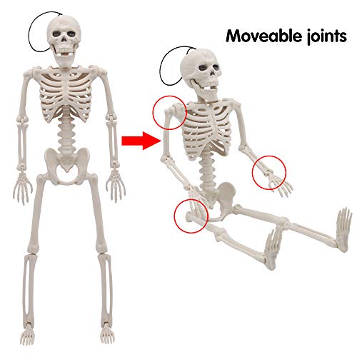 Spooktacular Creations 2pcs Esqueletos de 40.6cm Esqueleto de Cuerpo Entero con Articulaciones Movibles Halloween
