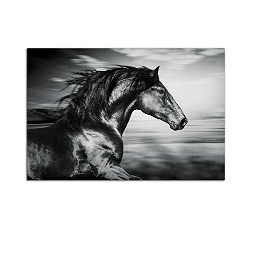 Startonight Cuadro sobre Vidrio - Hermoso Caballo Negro - Moderno Cuadro de Cristal Acrílico 60 x 90 cm