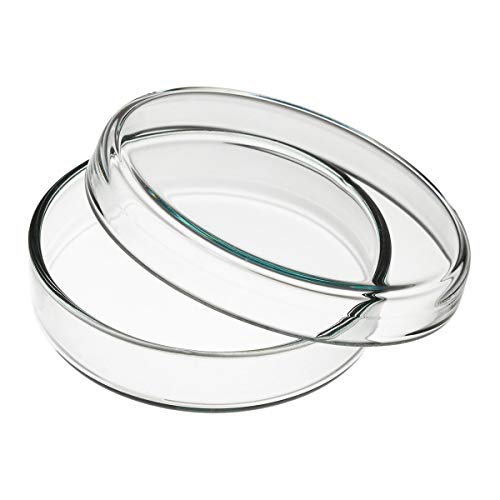 Sucastle Vidrio de platos de Petri con párpados 5 unids Alto Borosilicato Vidrio Petri Platos de Petri Platos de cultivo bacteriano para el experimento de laboratorio escolar EXPERIMIENTE Laboratorio