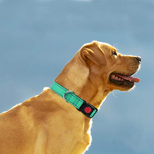 Taglory Collar Perro, Collar Nylon Reflectante Neopreno Forrado Ajustable para Perros Medianos, Turquesa