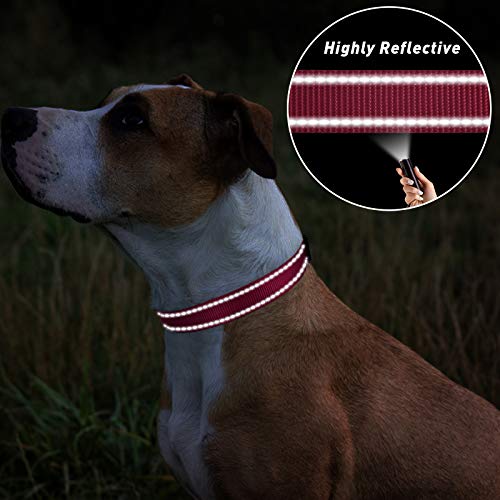 TagME Collar Perro Ajustable,Collar Nylon Reflectante,para Caminar Correr Entrenamiento,para Perros Pequeños,Rosa Caliente,1.5cm De Ancho