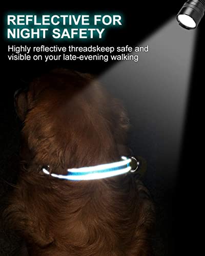 TagME Personalizado Nylon Collares para Perros, Ajustable Reflectante Collar Perro con Acolchados, Etiqueta de Acero Inoxidable Nombre Grabado y Número de Teléfono,Bebe Azul