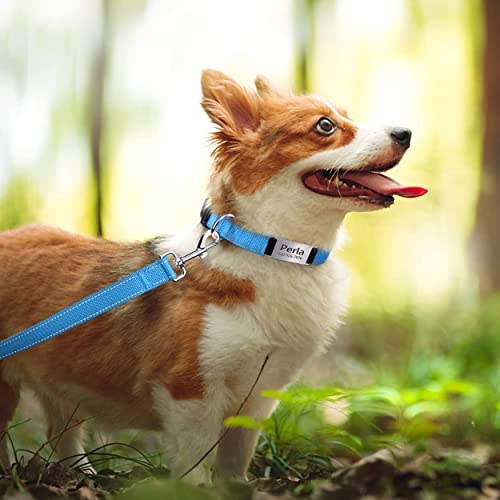 TagME Personalizado Nylon Collares para Perros, Ajustable Reflectante Collar Perro con Acolchados, Etiqueta de Acero Inoxidable Nombre Grabado y Número de Teléfono,Bebe Azul