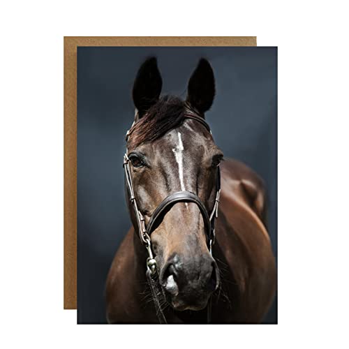 Tarjeta de retrato de caballo - tarjeta de cumpleaños de caballo - tarjeta de caballo - hermosa tarjeta de caballo para cualquier ocasión