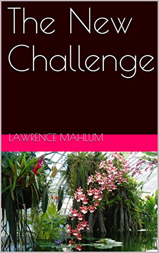 The New Challenge (English Edition)