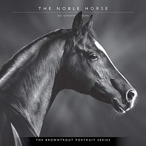 The Noble Horse 2021 Calendar (Browntrout Portrait)
