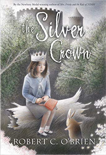 The Silver Crown (Aladdin Fantasy) (English Edition)