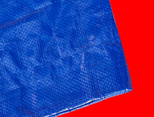 Toldo Reforzado gramaje - Lona Impermeable Reforzada Color Azul (4X5M)