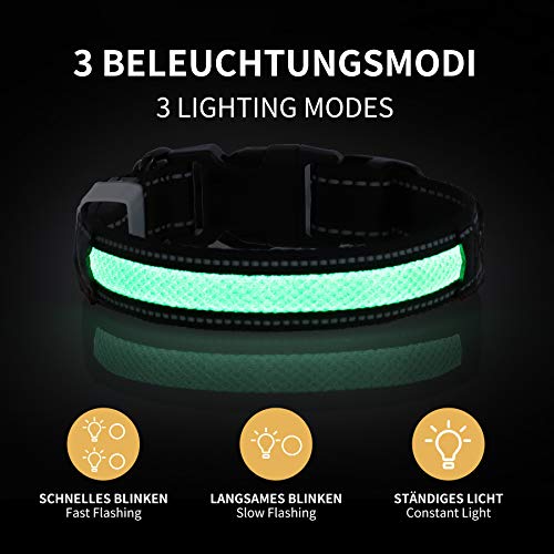 Toozey LED Collar Luminoso Perro, Longitud Ajustable/Recargable por USB/Impermeable Nylon Luminoso Collar para Perros con 3 Modos de Iluminación, Alta Visibilidad y Seguridad, Verde M
