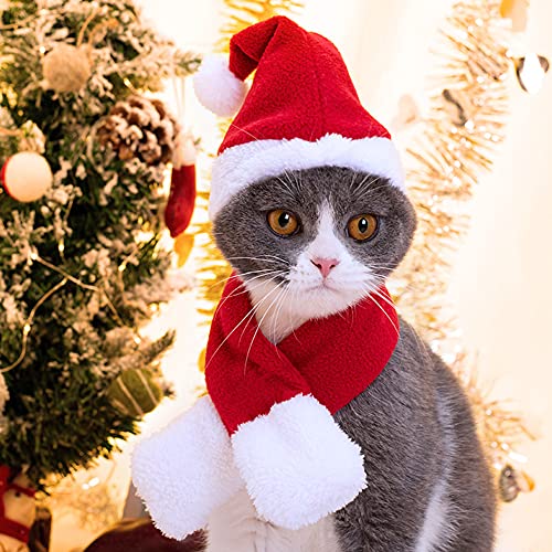 Traje De Navidad para Gatos, Traje De Navidad Santa Sombrero Santa con Bufanda Ropa para Mascotas Cat Outfit Set para Puppy Dog L