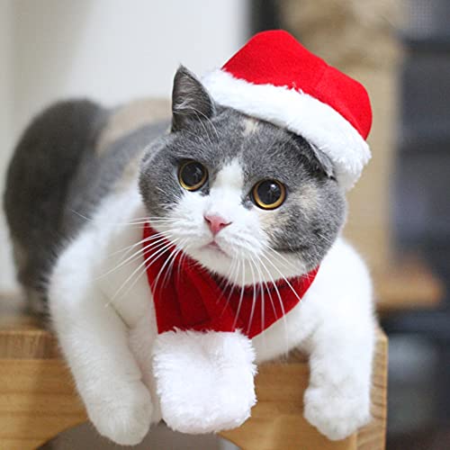 Traje De Navidad para Perros, Traje De Navidad Pet Sombrero Santa con Bufanda Ropa para Mascotas Cat Traje Conjunto Santa Hat Bufanda Regalo para Puppy Dog L
