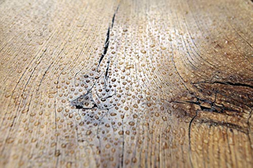 TRATAMIENTO HIDROFUGANTE PARA MADERA Líquido protector hidrófugo para madera. (5 L)