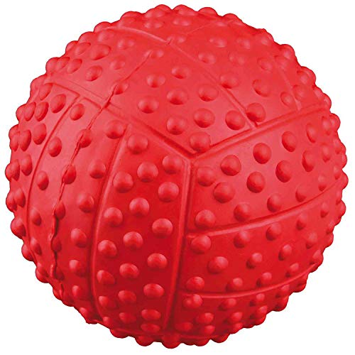 Trixie 34843 - Pelota para perros, 5.5 cm, 1 unidad, colores surtidos