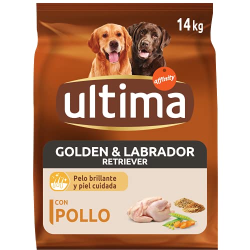 Ultima Pienso para Perros Golden y Labrador Retriever con Pollo - 14 kg