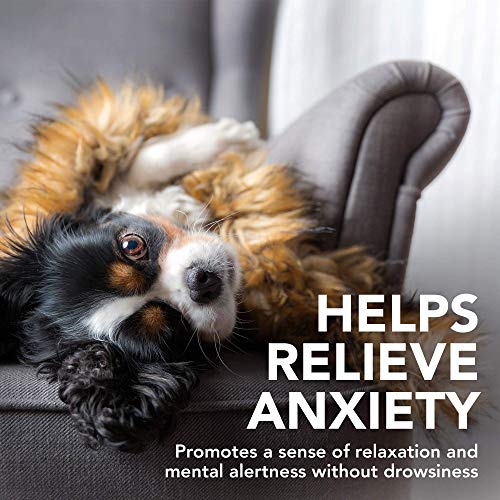 Vet's Best Suplementos para Perros calmantes de Calma Confort - Promueve la relajación y el Comportamiento equilibrado 180 g